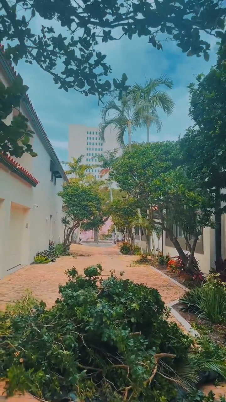 Brick walkway lined with palms at a Florida property