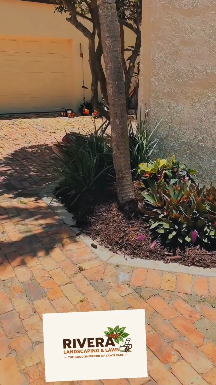 Tidy driveway and planting beds after a cleanup