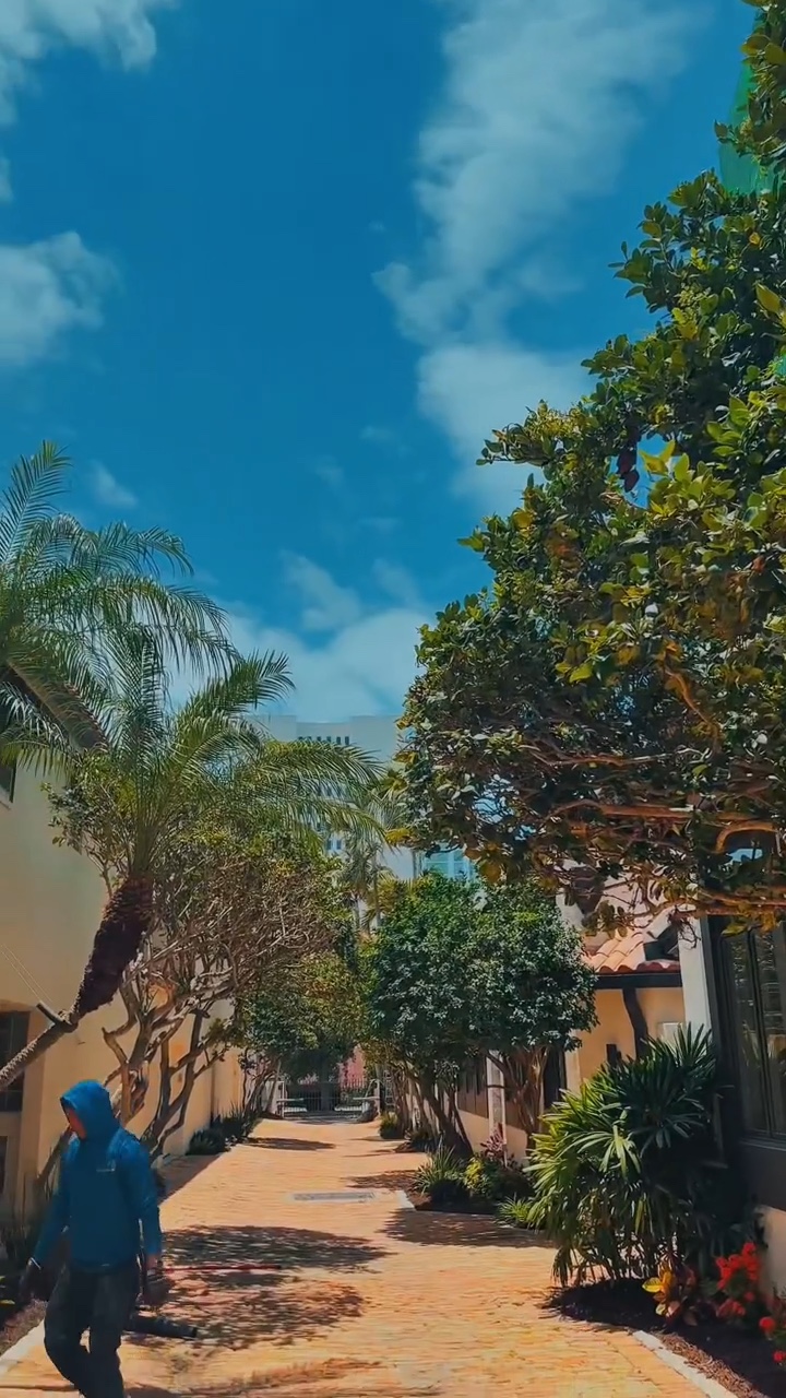 Mature palms and healthy greenery