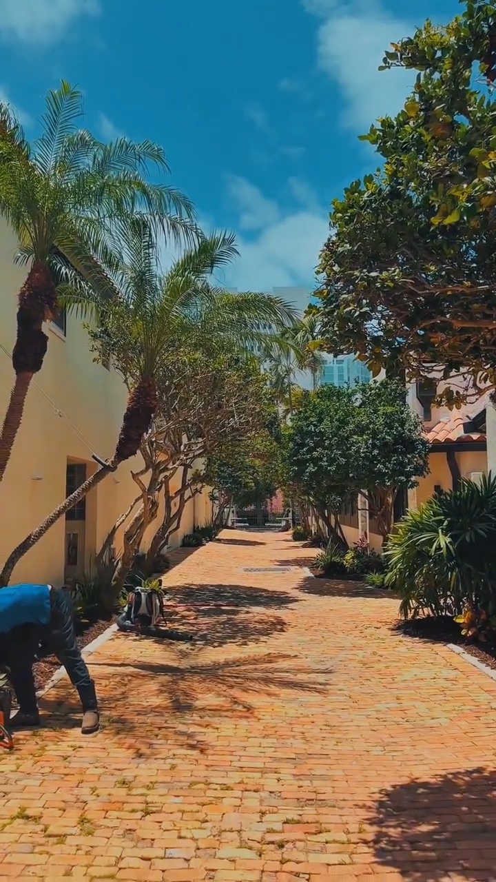 Palm-lined Florida property maintained by Rivera Landscaping