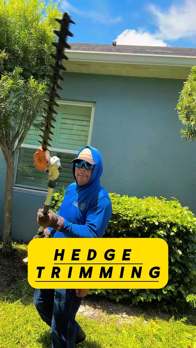 Wolseley Rivera trimming hedges with a pole hedge trimmer at a client’s home