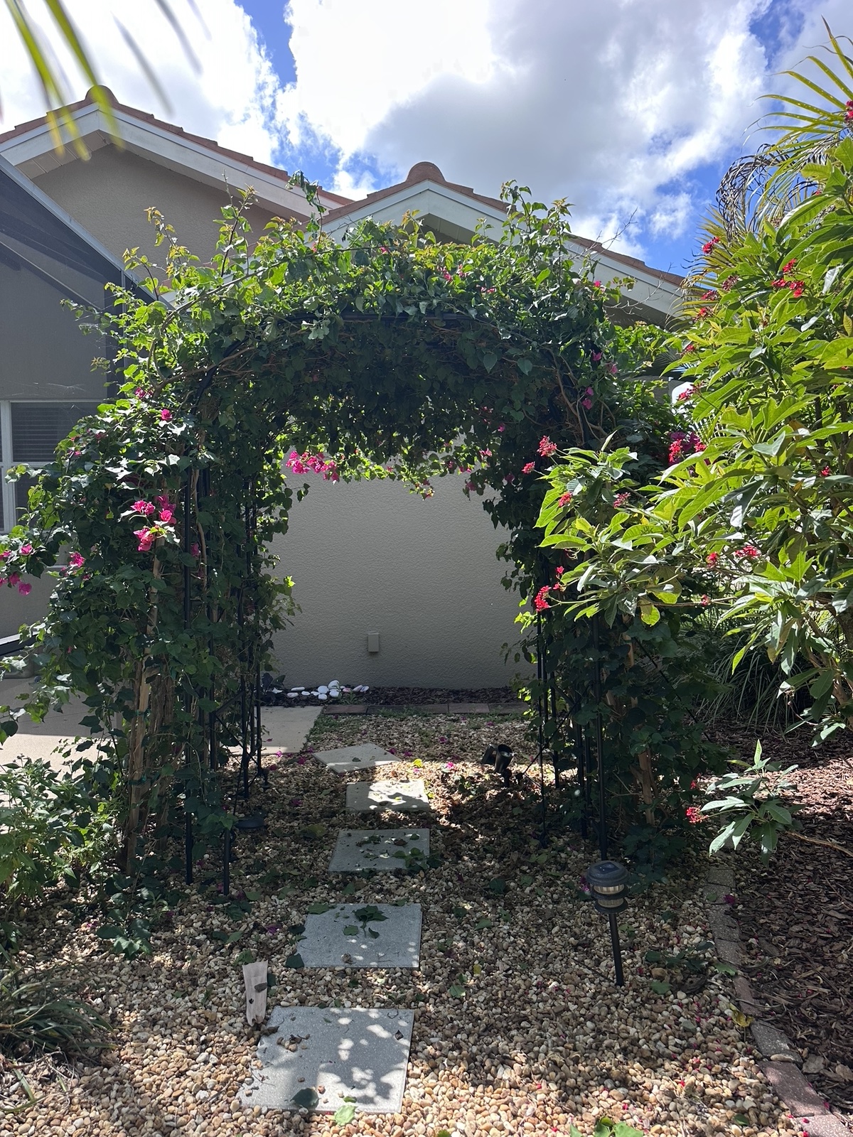 A lush bougainvillea arbor over a stepping-stone path at a Florida home, landscaped by Rivera Landscaping
