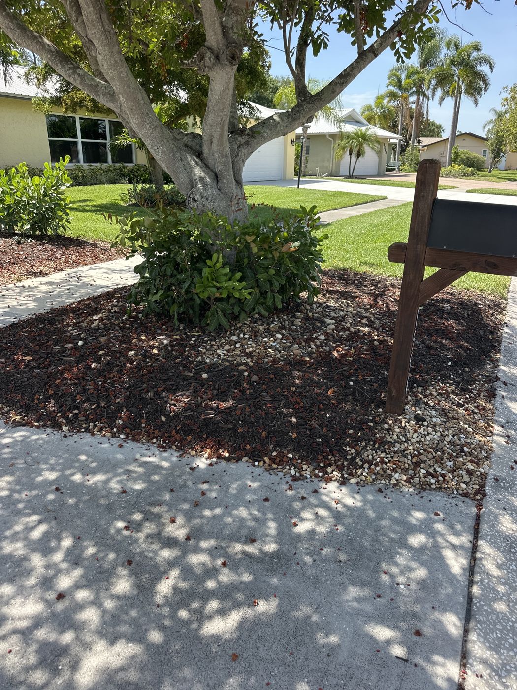 Mulched tree ring with a clean edge beside the sidewalk