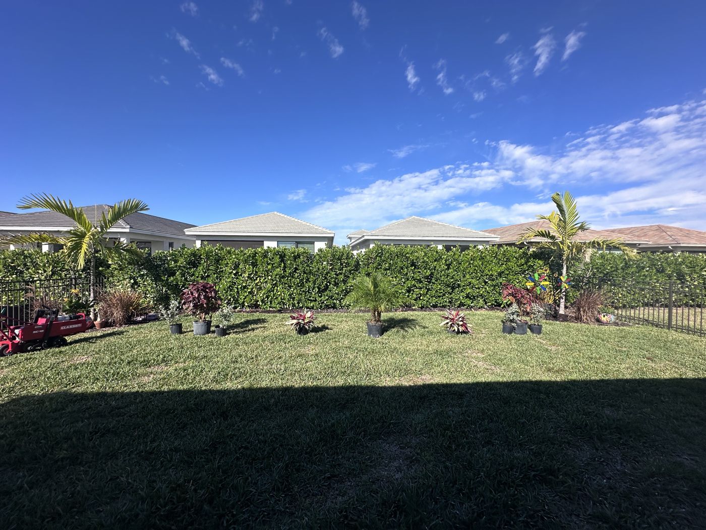 Freshly cut lawn with a clean hedge line under a blue Florida sky