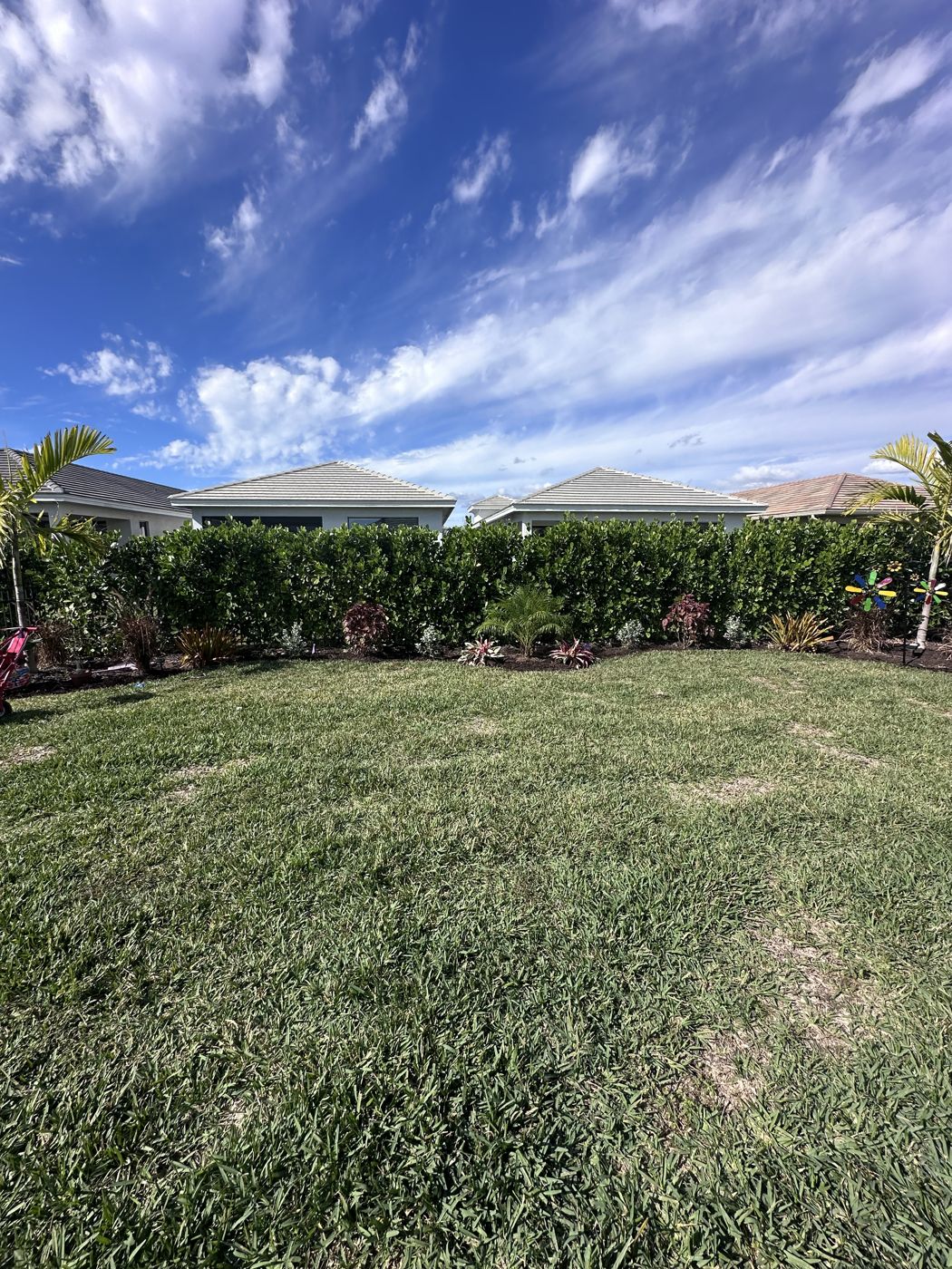 Healthy green lawn with a sharp hedge