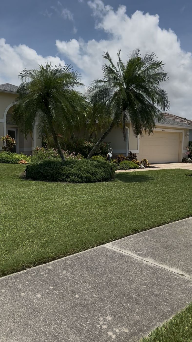 Manicured lawn and palms in front of a Florida home