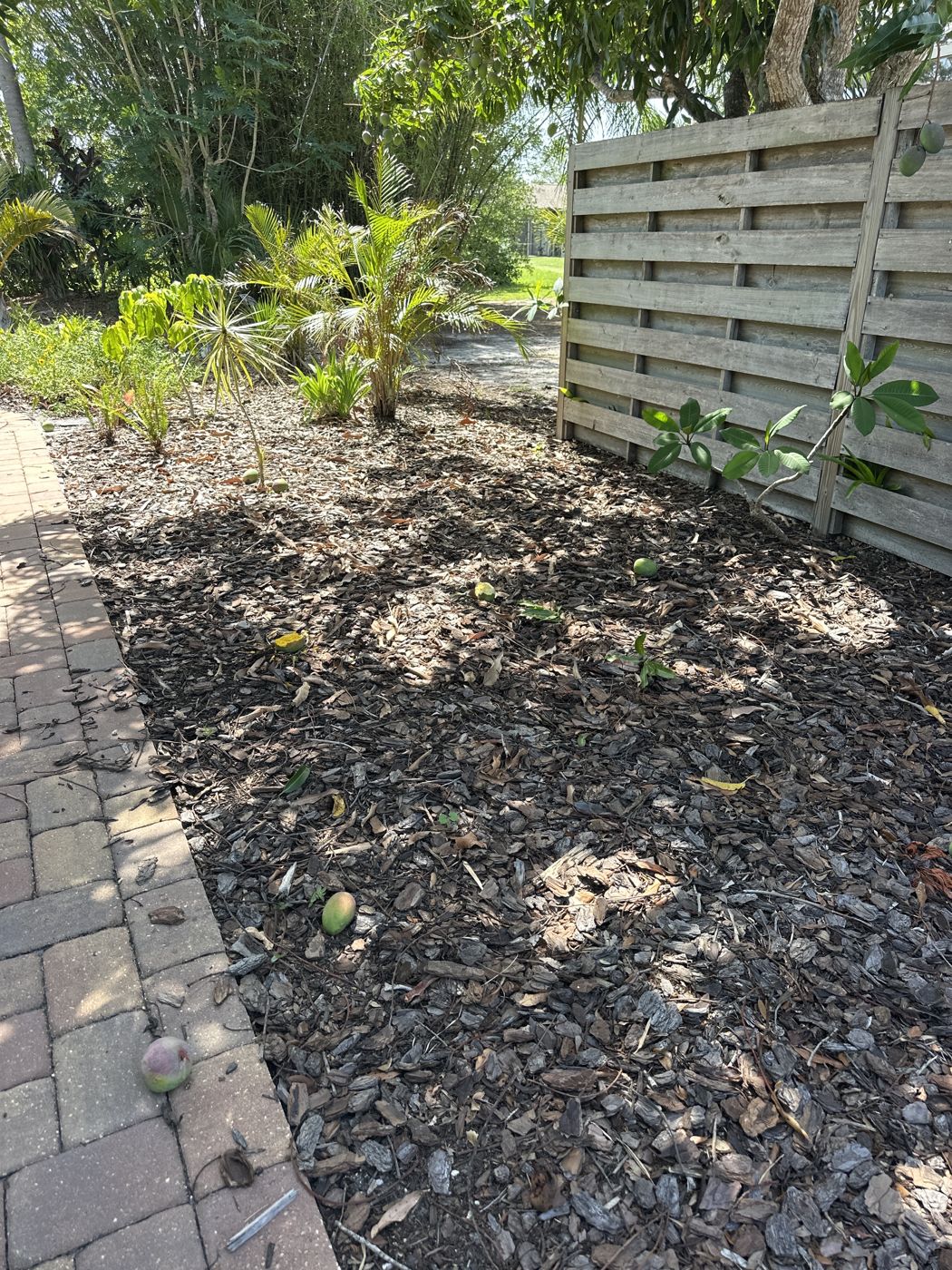 Planting bed cleaned up and mulched beside a paver walk